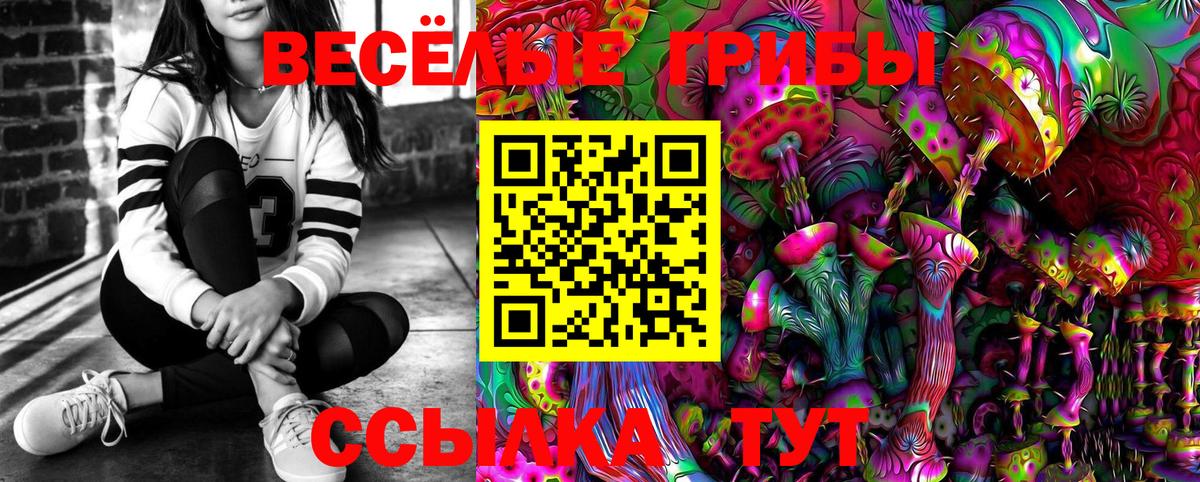 Галлюциногенные грибы Psilocybe Ковров