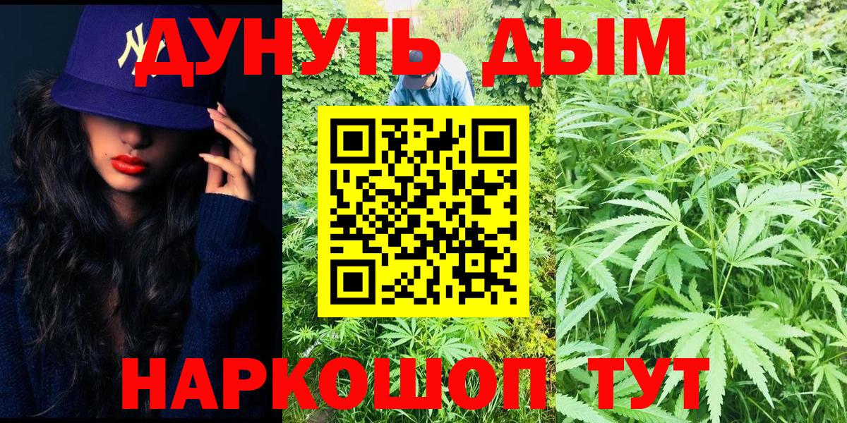 Бошки Шишки семена  Вход с VPN  Бошки марихуана OG Kush  Ковров  Марихуана SATIVA & INDICA 